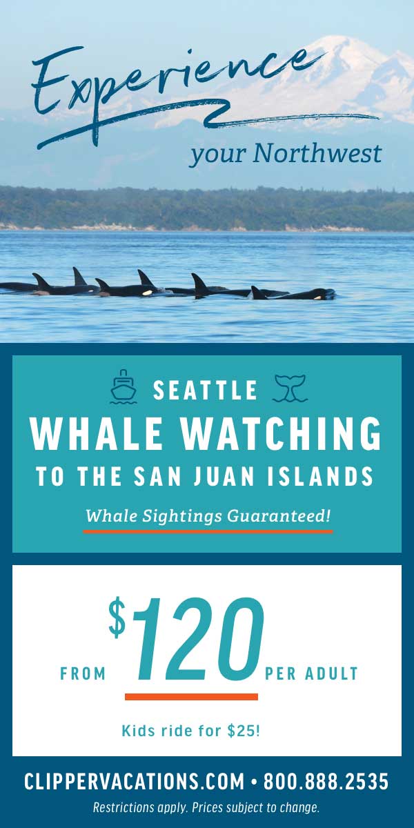 whale watching seattle